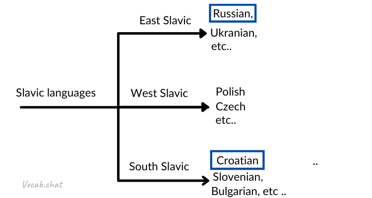 diagram showing the relationship between Croatian and Russian within the Slavic family of languages