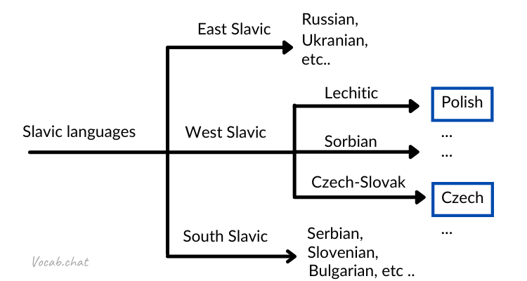 diagram of the Slavic languages including Polish and Czech