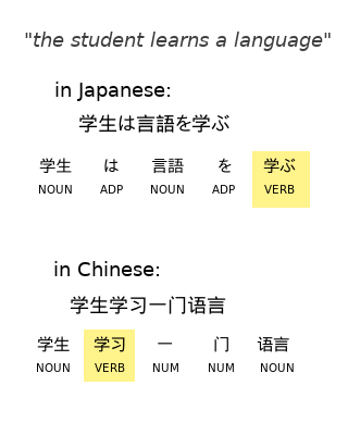 Japanese vs Chinese word order